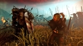 Witcher 2 New Sreenshoot