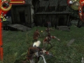 Witcher in-game combat